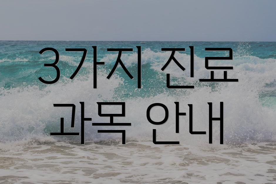 3가지 진료 과목 안내