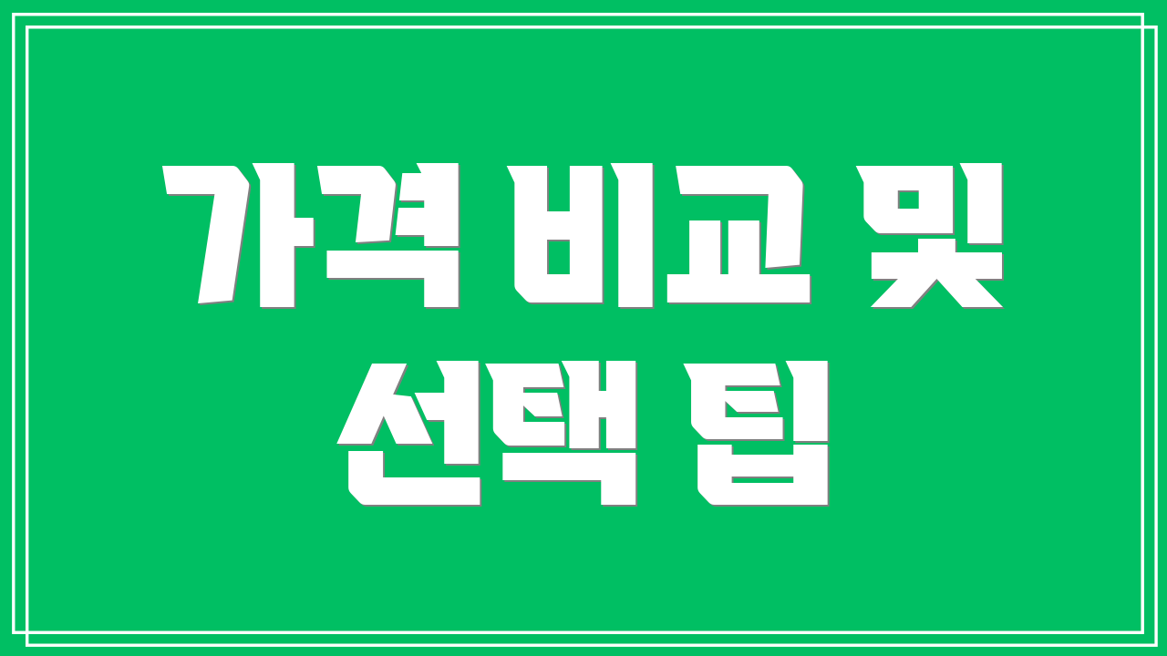 가격 비교 및 선택 팁